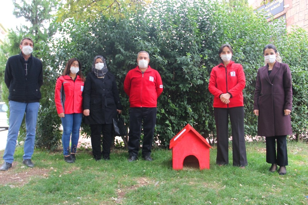 Sokakta üşüyen hayvanlar için barınaklar yaptılar