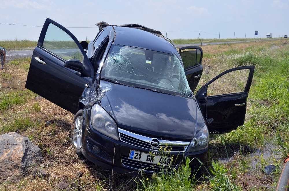 Kaplumbağayı ezmemek için manevra yapınca takla attı