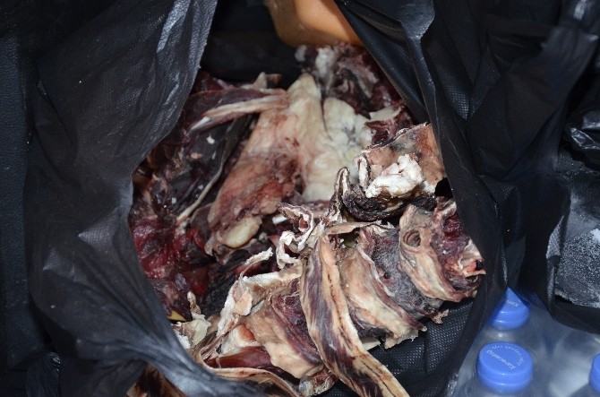 Siverek’te zabıta denetimlerinde kaçak et ele geçirildi