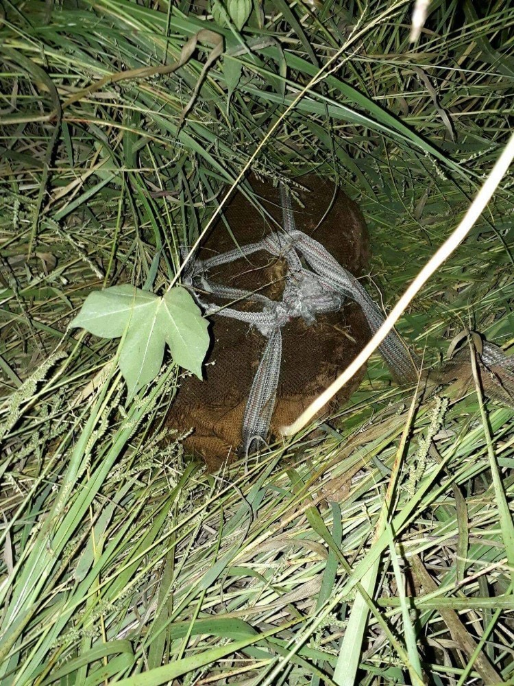 Sazlıklarda 2 bin adet uzun namlulu silah mermisi bulundu