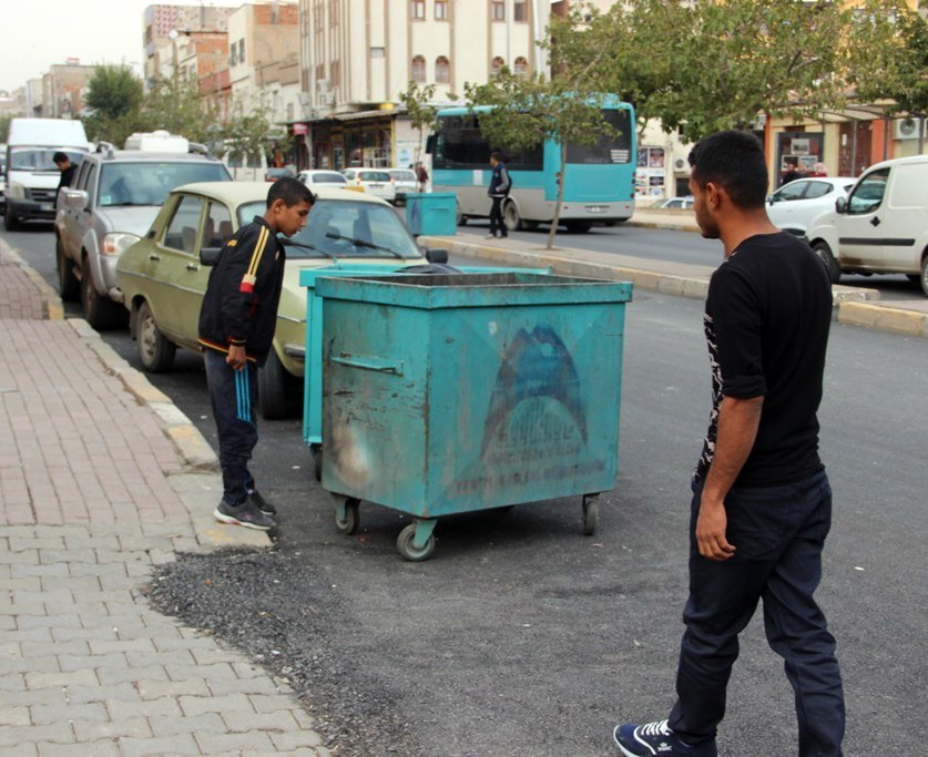 Yaşlı kadının zehirlediği kedileri çöpe attığı iddiası
