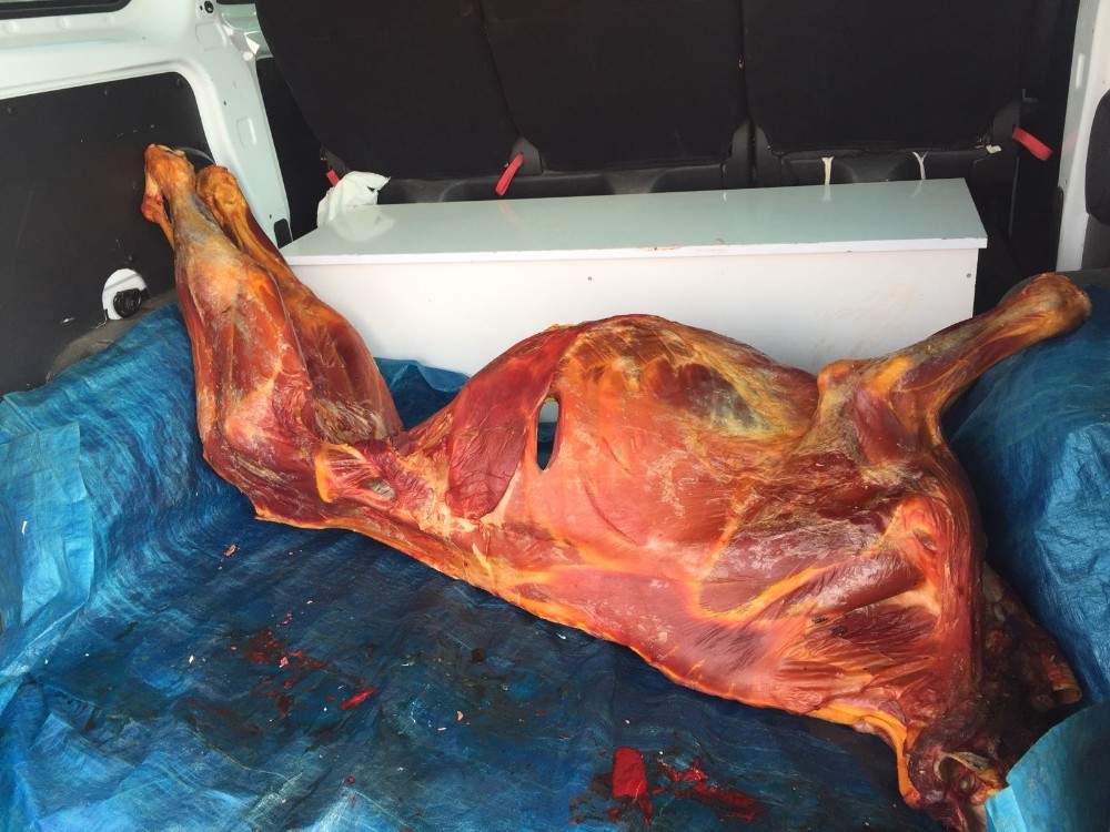 Zabıtadan kaçak et operasyonu