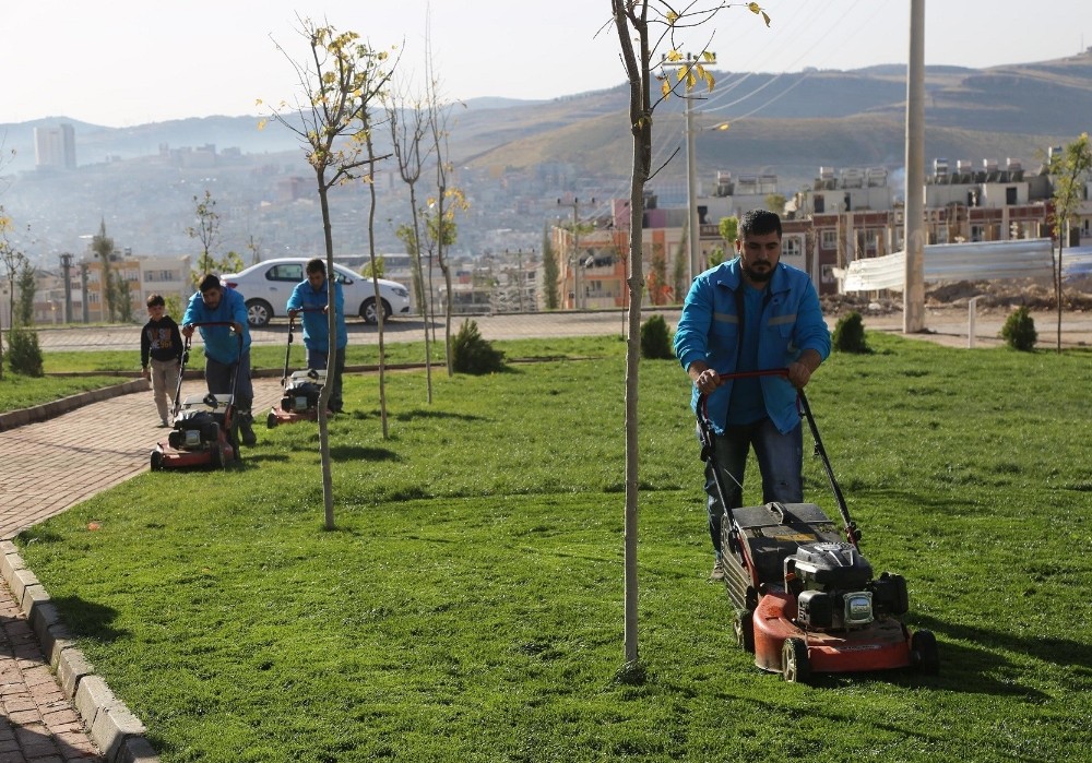 Haliliye’deki parklarda mevsimlik çalışmalar başladı