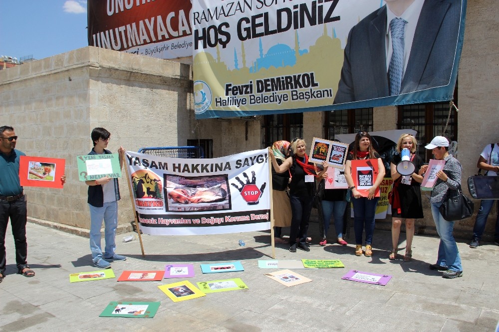 Hayvan hakları savunucularından yasa tasarısına tepki