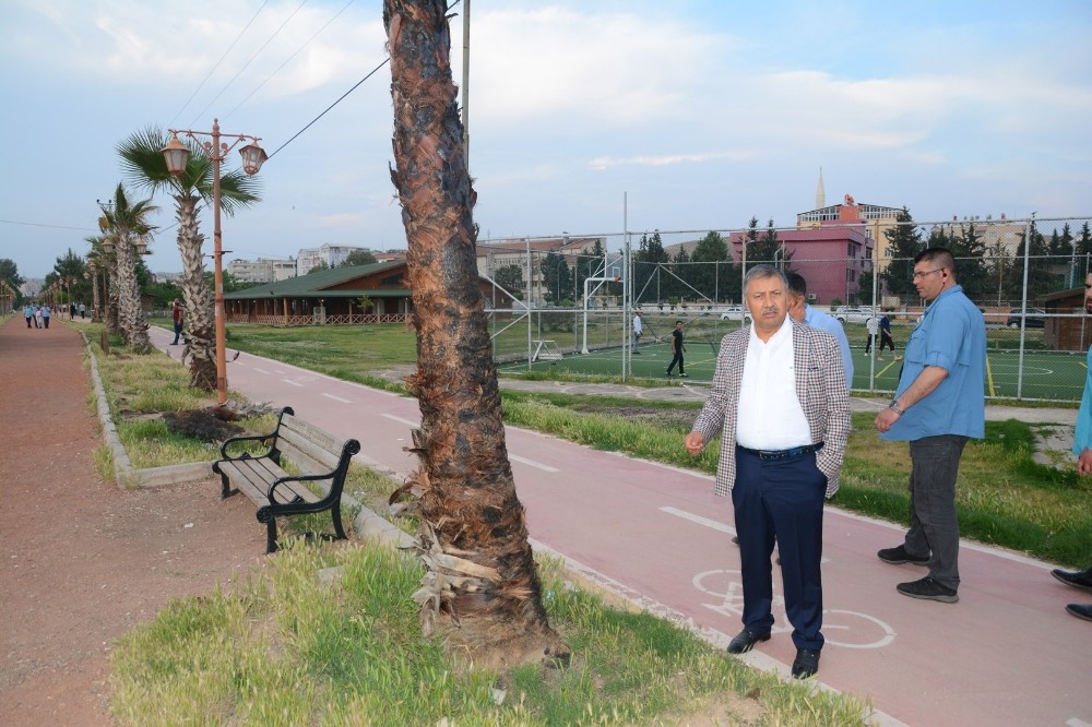 Parklardaki ağaçları yaktılar