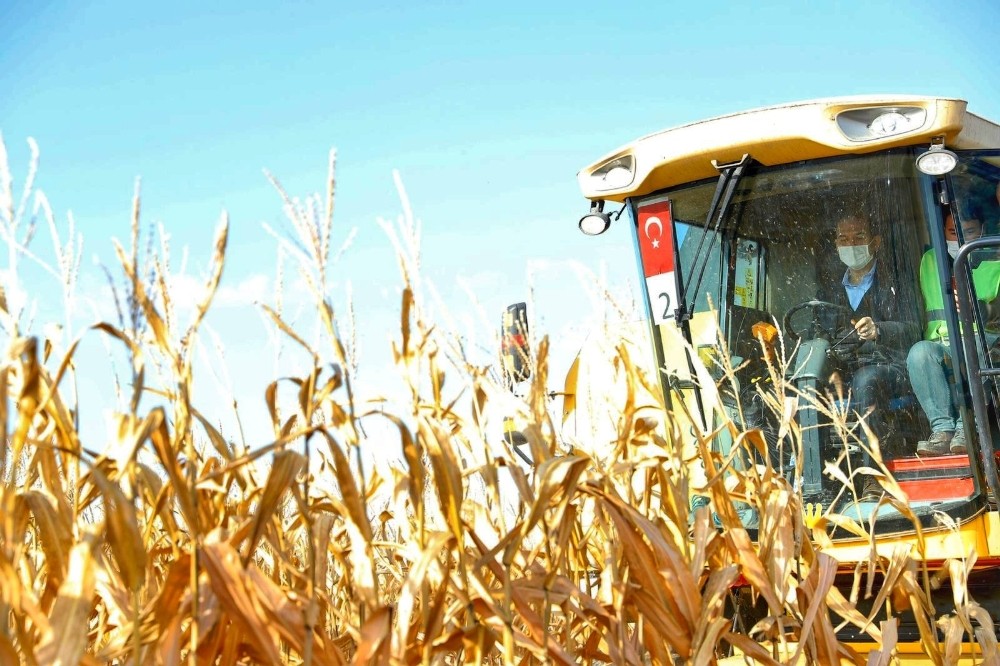 Bakan Soylu Şanlıurfa’da biçerdöverle mısır hasadı yaptı