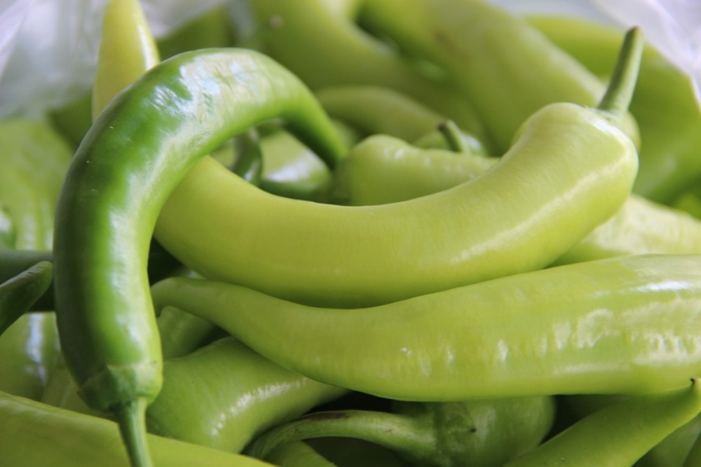 Şanlıurfa’da yeşil biberde rekor düşüş