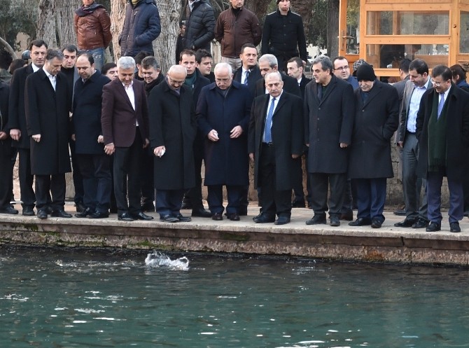 Bakan Elvan Balıklıgöl ve müzeleri gezdi