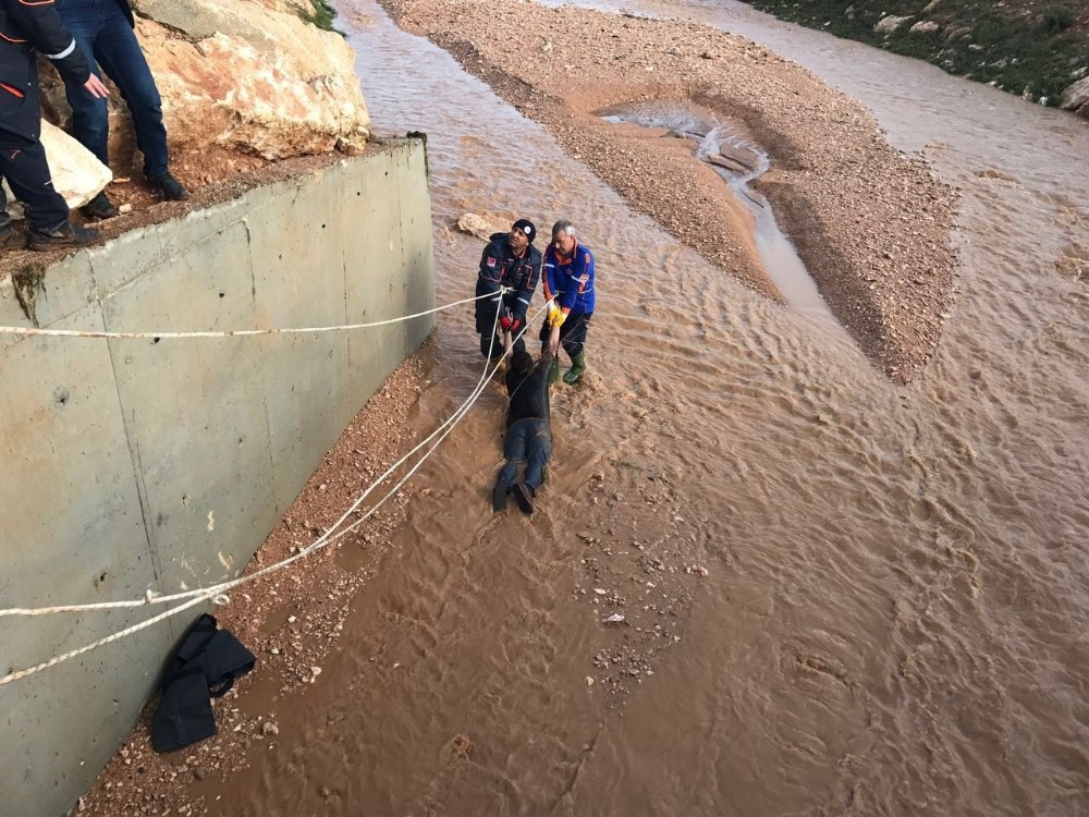 Sel sularına kapılan kişi hayatını kaybetti