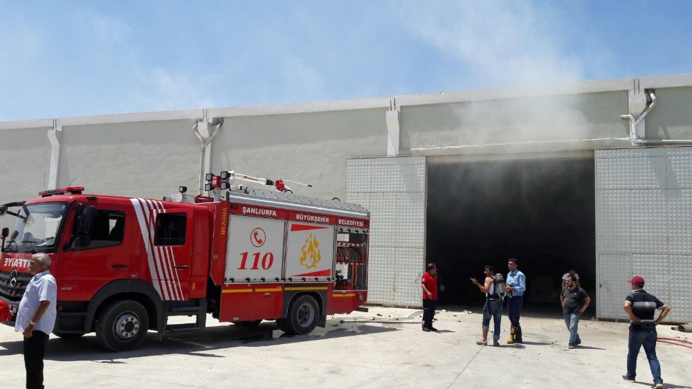 Çırçır fabrikasında yangın