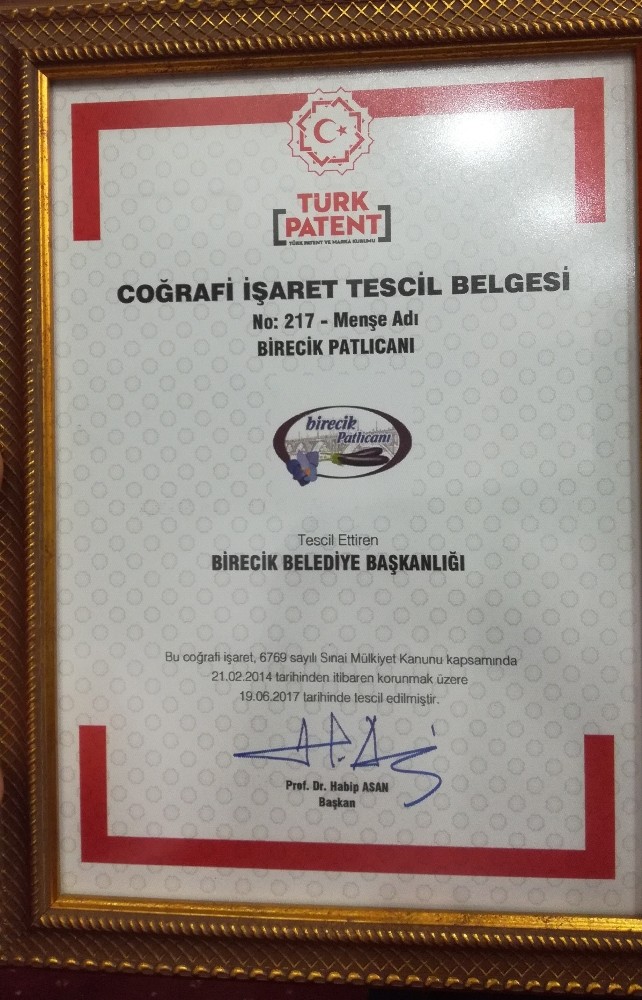 ’Birecik patlıcanı’ ve ’Urfa ekşilisi’ tescillendi