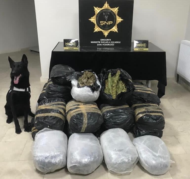 Uyuşturucu operasyonunda 135 kilogram esrar ele geçirildi