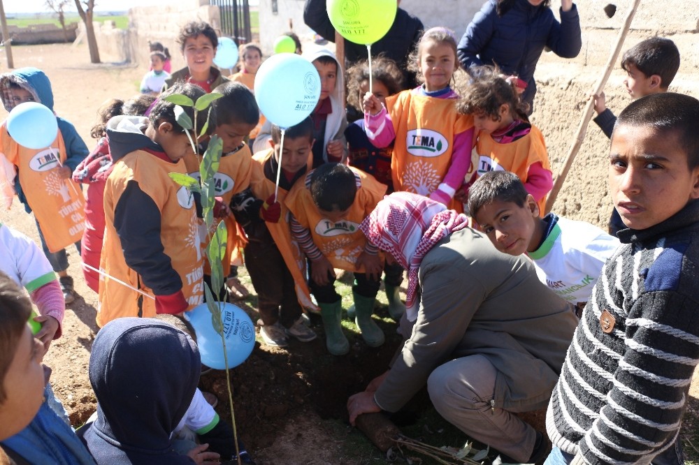 TEMA Vakfı okulları yeşillendiriyor