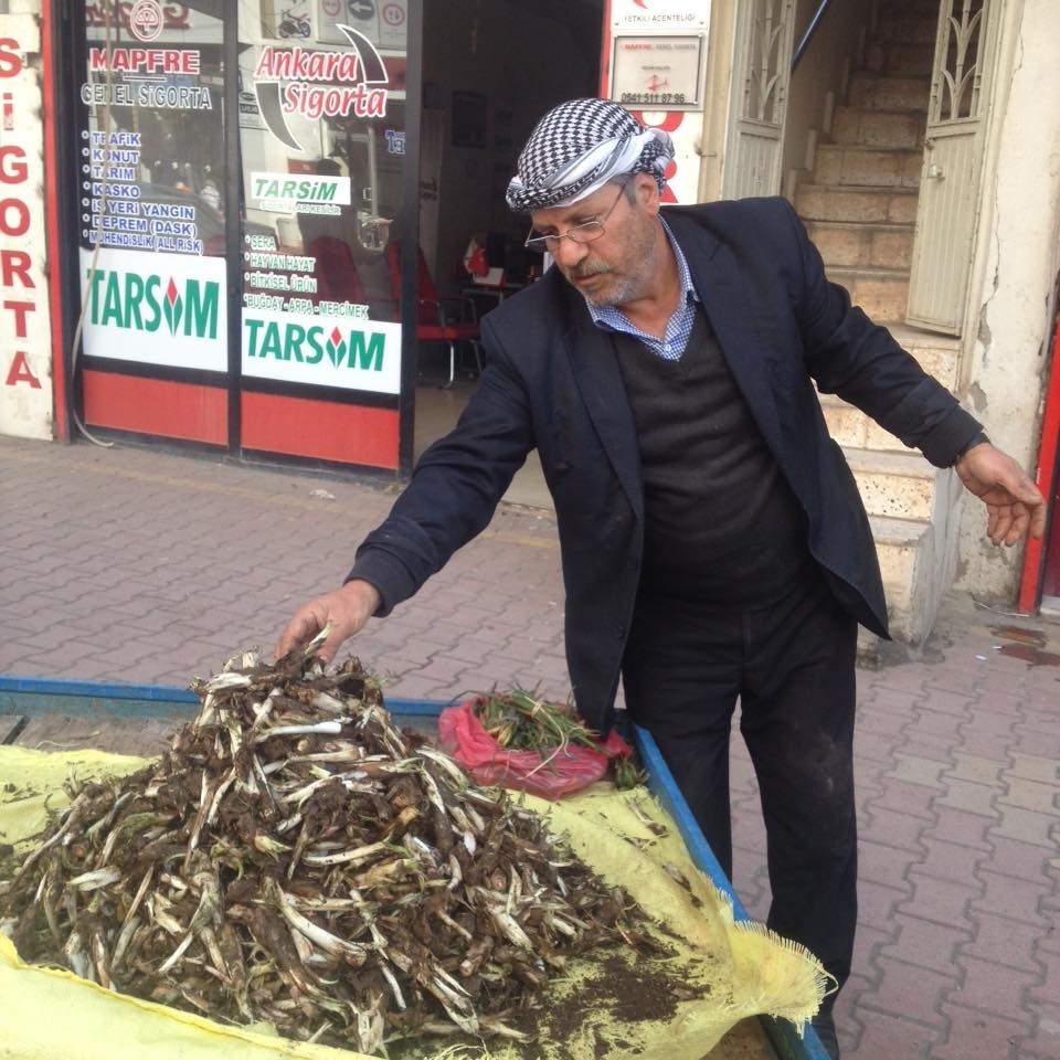 Kenger otu pazara indi