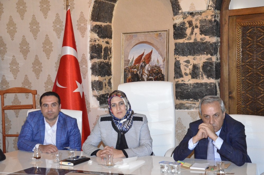 Siverek’te ’Organik Köy’ Projesi Çalışmaları Başladı