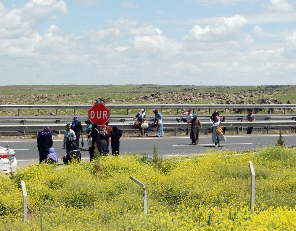 Tehlikeli yoldan ölümüne geçiş