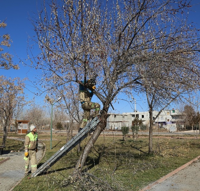 Haliliye Belediyesi Kısas Mahallesindeki parklarda çalışmalarını tamamladı