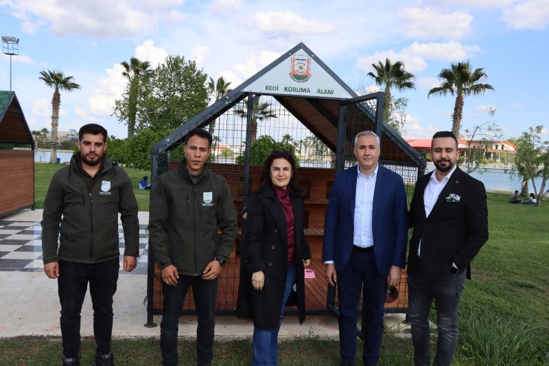 BÜYÜKŞEHİR BELEDİYESİ’NDEN SOKAK KEDİLERİ İÇİN ÖRNEK PROJE