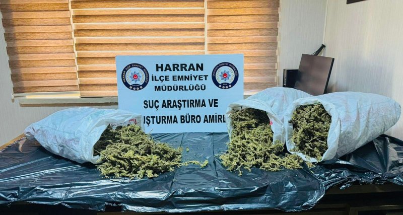 Harran’da Narkotik Darbesi: 8 Kilo Esrarla Yakalanan Zehir Taciri Tutuklandı