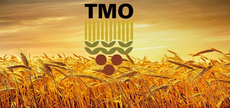 TMO Hububat Alım Ödemelerine Başladı!