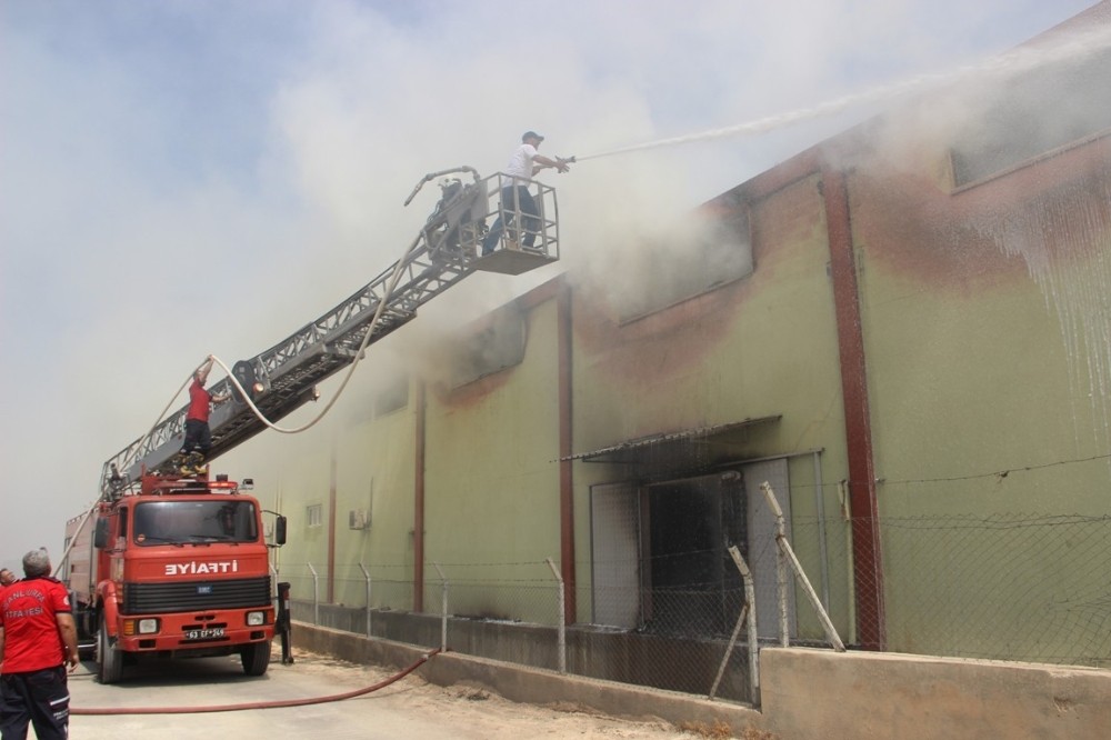 Tonlarca gıdanın bulunduğu depoda yangın çıktı