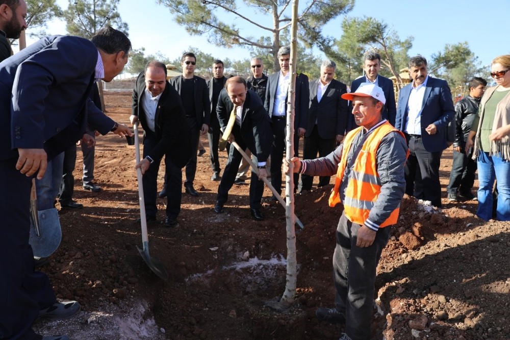 ’Şehrimi seviyorum ağacımı dikiyorum’ kampanyası devam ediyor