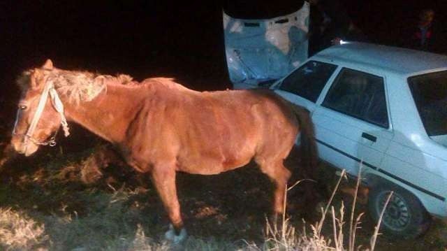 Ata çarpan otomobil takla attı