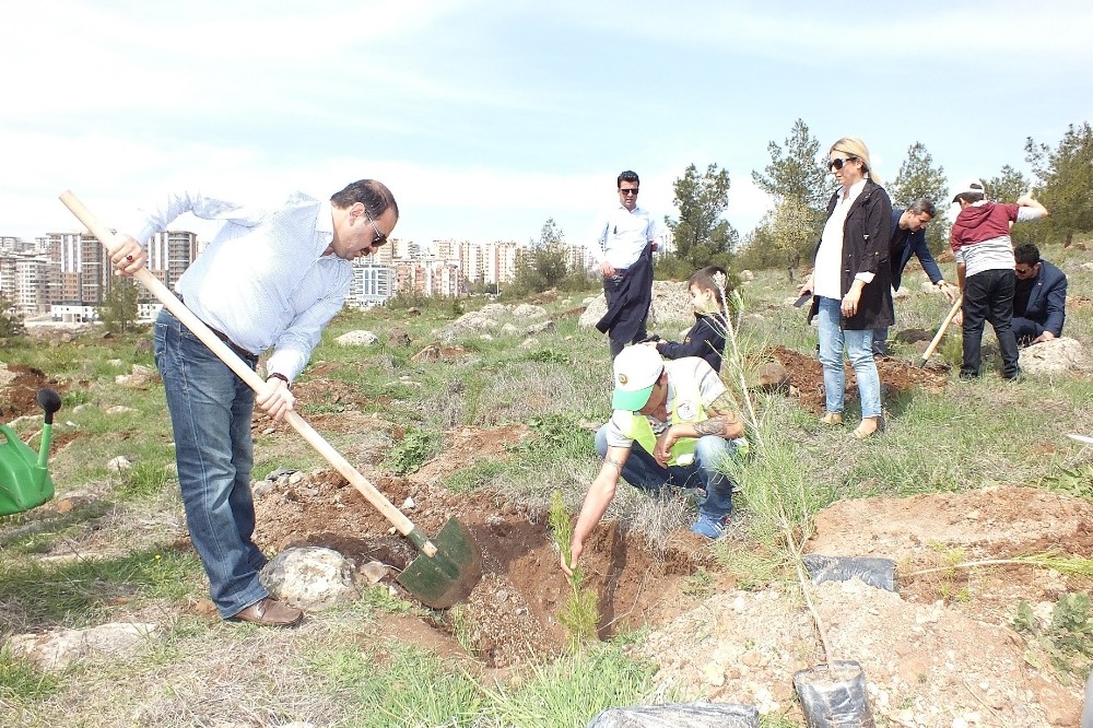 15 Temmuz şehitleri için hatıra ormanı oluşturuldu