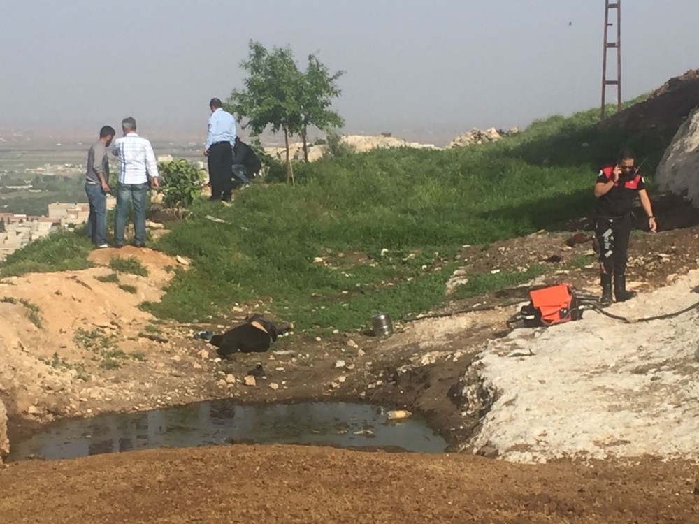 Köpek sahiplenme tartışmasında kan aktı: 2 ölü, 5 yaralı