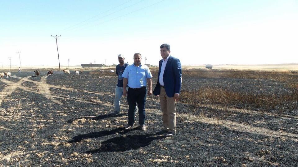 Harran’da 300 dekar hububat ekili alan yandı