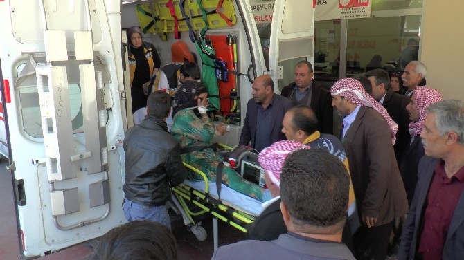 Düğün magandaları dehşet saçtı: 1 ölü, 4 yaralı