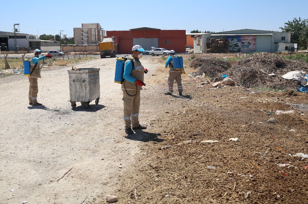 Haliliye belediyesi ilaçlama çalışması