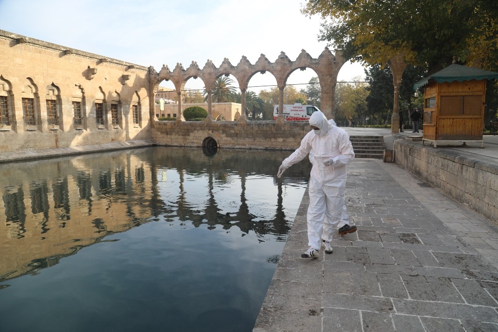 Şanlıurfa’da boş kalan tarihi mekanlar ilaçlandı