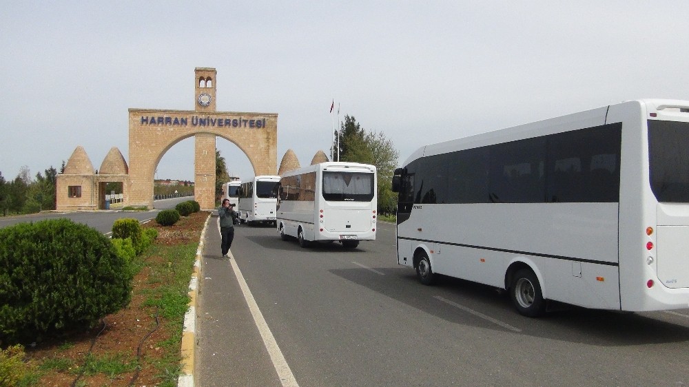 Cezayir’den tahliye edilen 191 kişi Şanlıurfa’ya getirildi