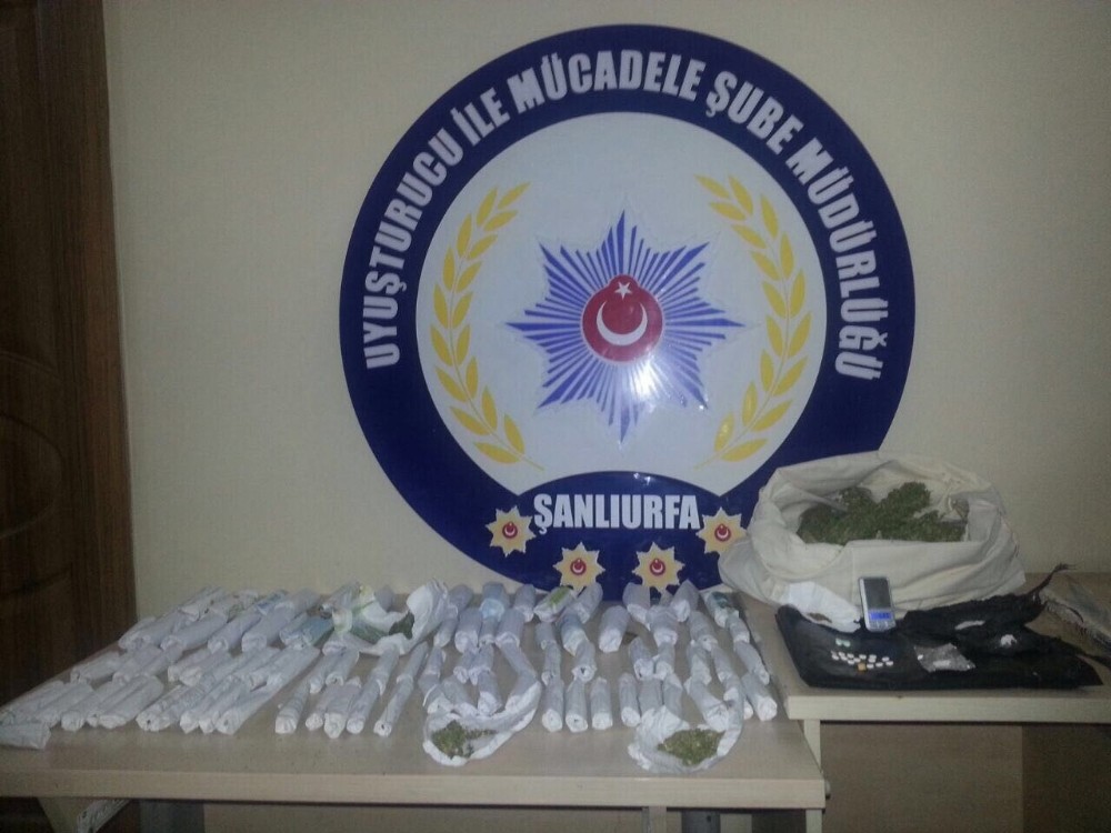 Aranan zehir tacirlerine operasyon