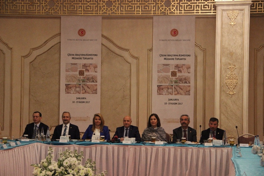 Çölyak Hastalığı Meclis Araştırma Komisyonu Şanlıurfa’da