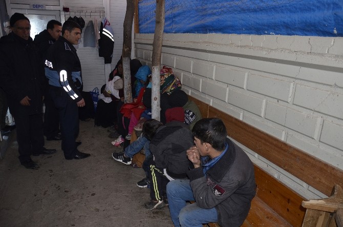 Siverek’te 15 dilenciye işlem yapıldı