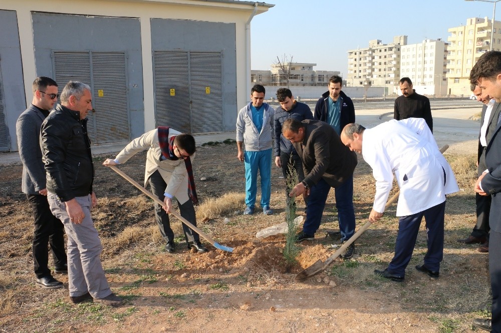 Hastane bahçesinde 300 fidan toprakla buluştu