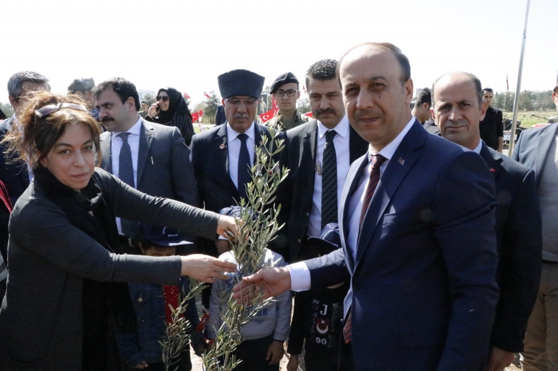 Afrin Şehitleri İçin Zeytin Fidanları Diktiler