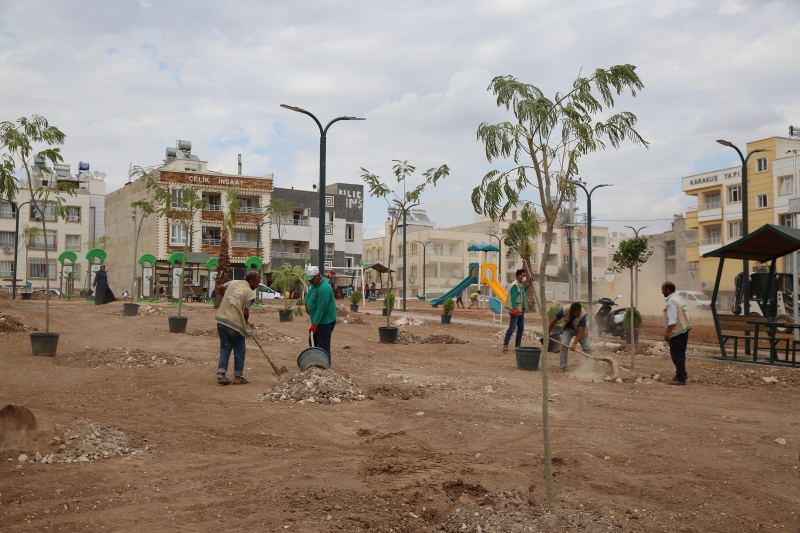 AĞAÇLAR TOPRAKLA BULUŞUYOR, HALİLİYE YEŞİLLENİYOR