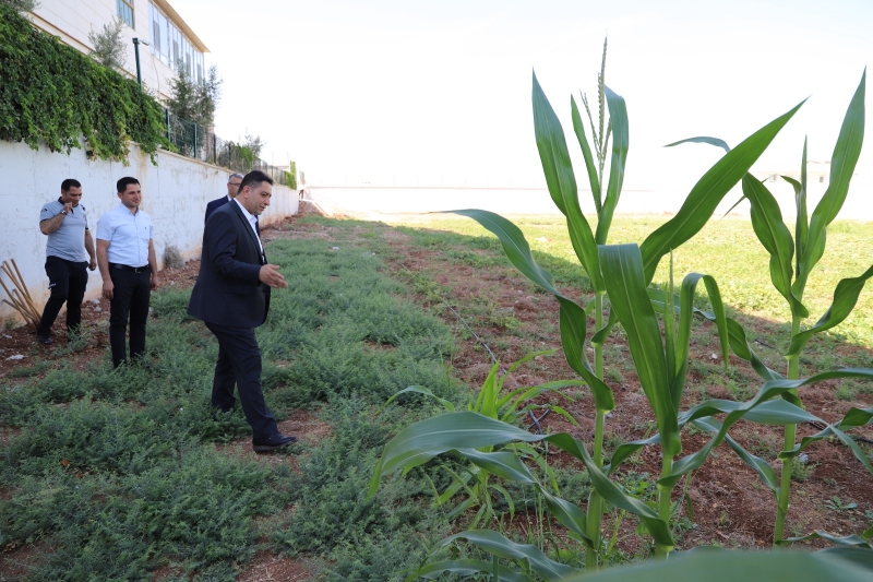 Amatem de “hobi bahçesi ile tarla terapisi ”uygulanıyor.