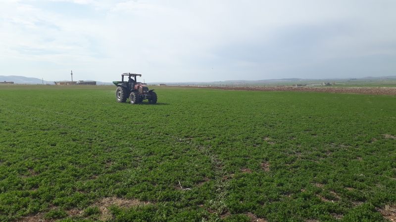 Ara Ürün Tercih Sebebi Oldu