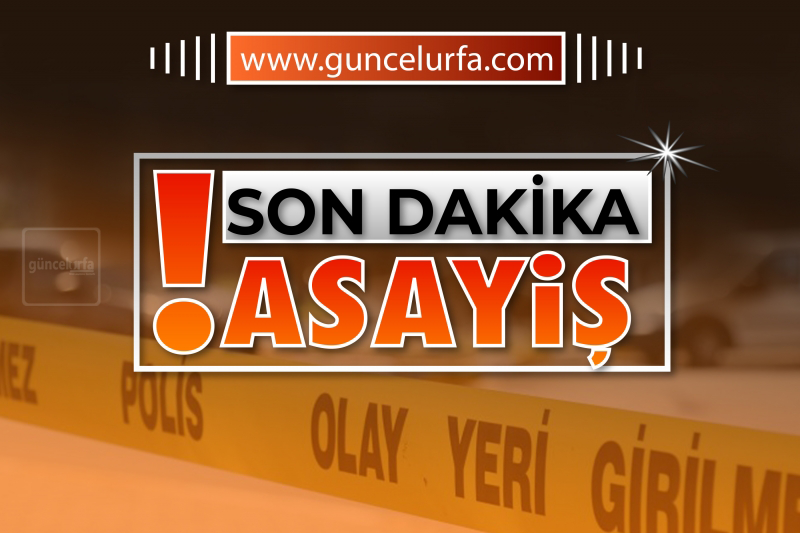 Aranan DEAŞ’lı Şanlıurfa'da yakalandı