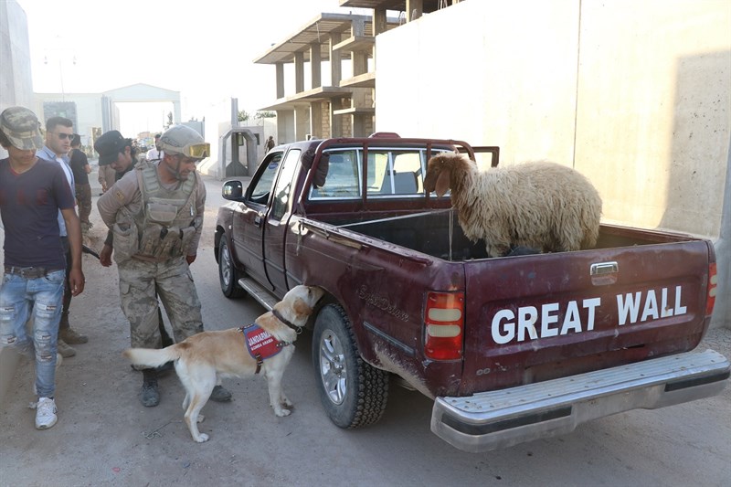 Barış Pınarında Öncelik Güvenlik