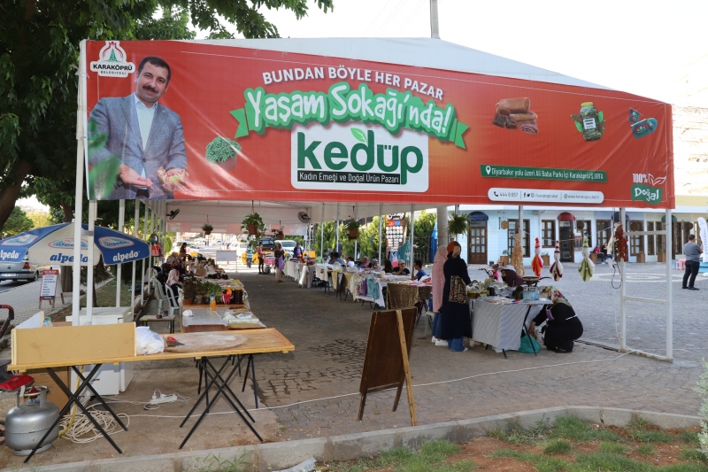 BAŞKAN BAYDİLLİ VATANDAŞLARA KARAKÖPRÜ NAR FİDANINI DAĞITTI