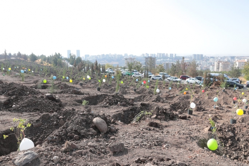 BAŞKAN BEYAZGÜL, “CUMHURBAŞKANIMIZIN HİMAYELERİNDEKİ BU SEFERBERLİK ÇOK ÖNEMLİ”