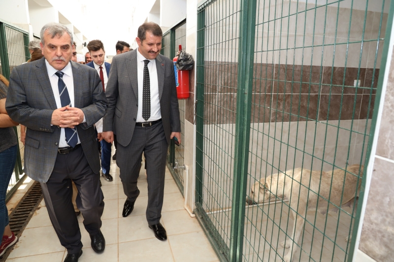 BAŞKAN BEYAZGÜL, SİVEREK HAYVAN REHABİLİTASYON MERKEZİNİ ZİYARET ETTİ