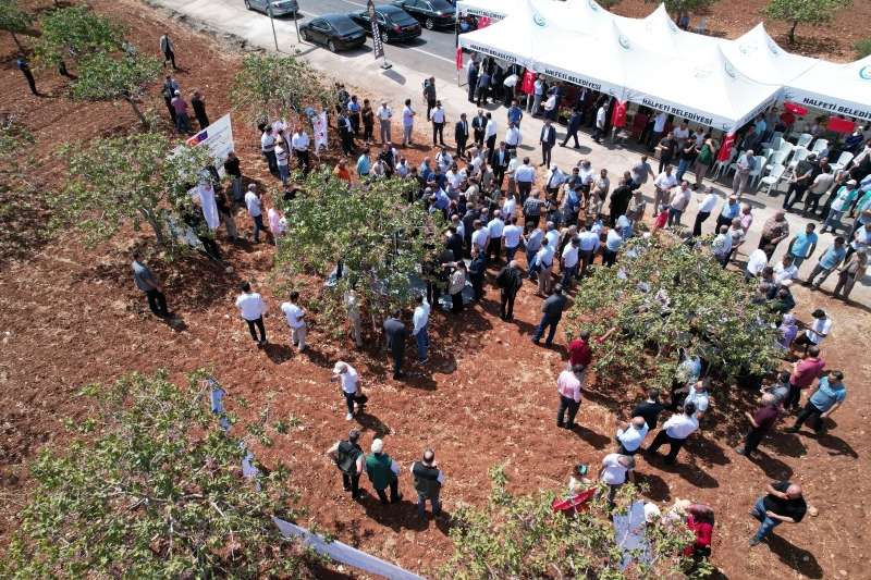 BAŞKAN BEYAZGÜL, “TÜRKİYE’DEKİ FISTIĞIN YÜZDE 50’SİNİ TEK BAŞINA ŞANLIURFA ÜRETİYOR”