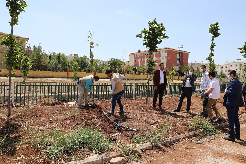 BAŞKAN CANPOLAT: AHMET YESEVİ’YE YEŞİL BİR VADİ KAZANDIRACAĞIZ