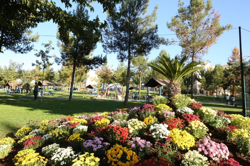 Başkan Kuş’un Yeşil Aşkı Eyyübiye’yi Dönüştürüyor